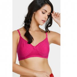 SLEEVLINE PADDED BRA ( Pack of 2 )